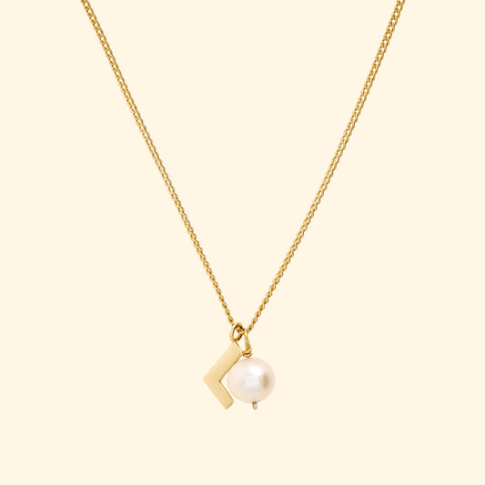 Initial Necklace with Charm