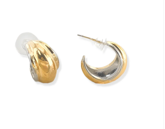 Two Tone Earrings