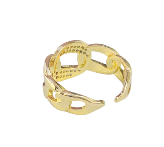 Adjustable Chain and CZ Ring