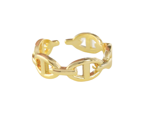 Gold Open Chain Ring