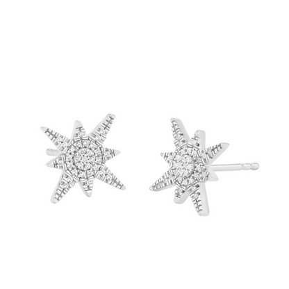 Silver Stargazer Stud Earrings