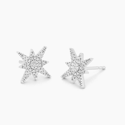 Silver Stargazer Stud Earrings